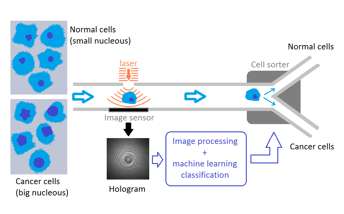 cell sorting thesis