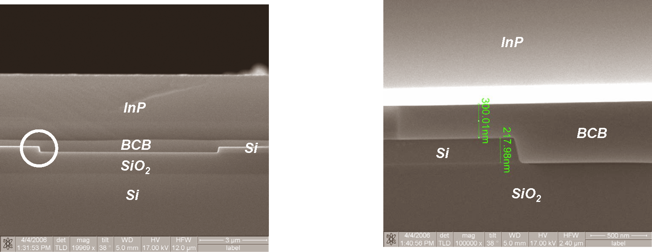 Cross section of an SOI waveguide circuit with an InP layer bonded on top